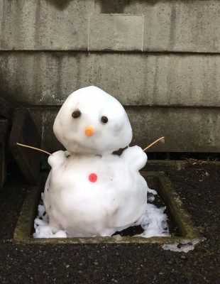 東京初積雪