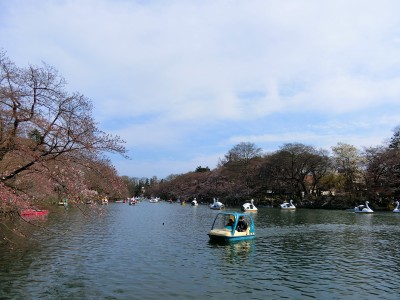 吉祥寺井の頭公園