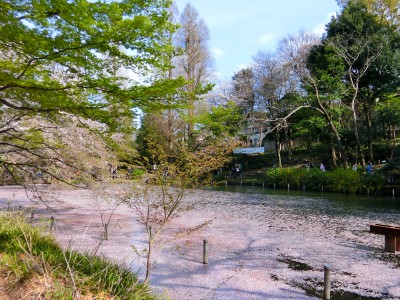 井の頭公園