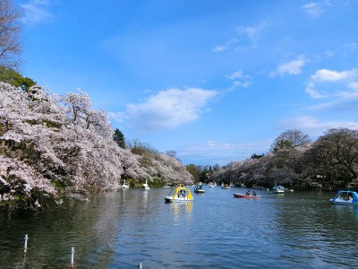 吉祥寺