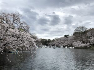 東京都武蔵野市吉祥寺の井の頭公園１